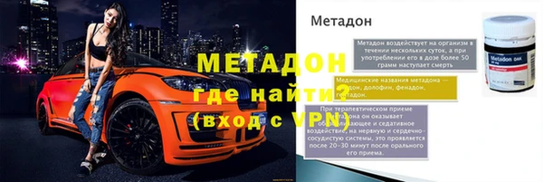 хмурый Аркадак
