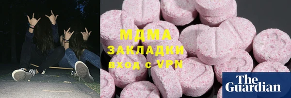 хмурый Аркадак