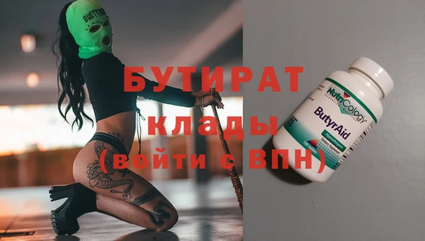 хмурый Аркадак