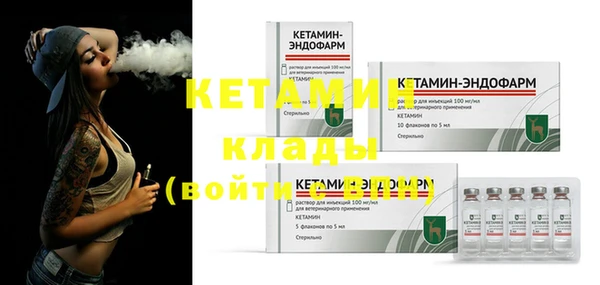хмурый Аркадак
