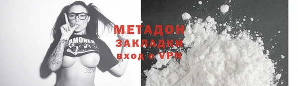 хмурый Аркадак