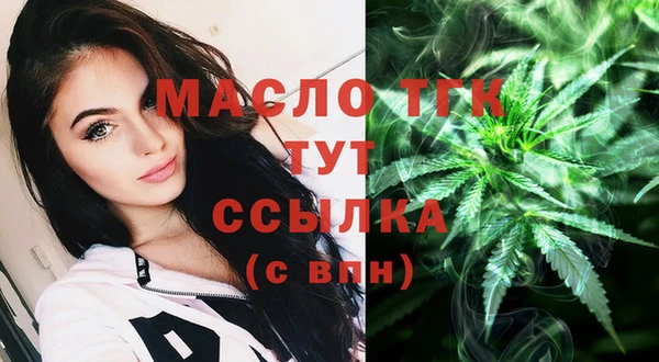 хмурый Аркадак