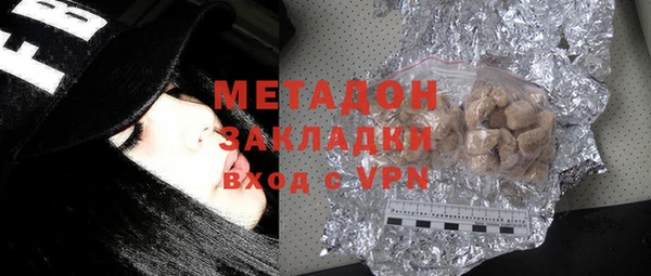 хмурый Аркадак