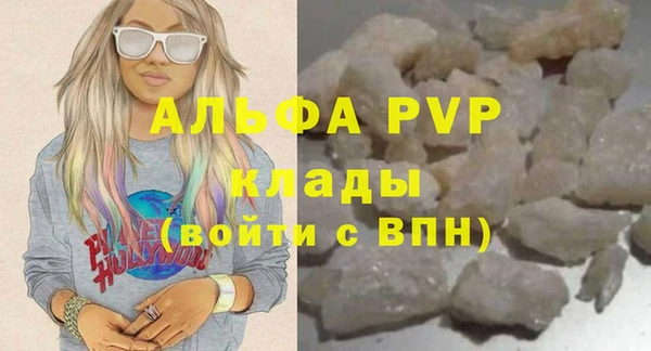 хмурый Аркадак