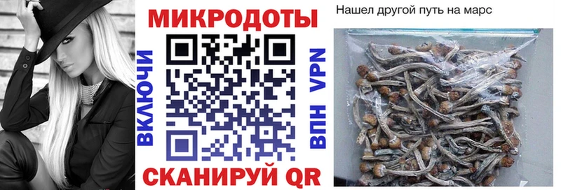 Псилоцибиновые грибы Psilocybe Рузаевка